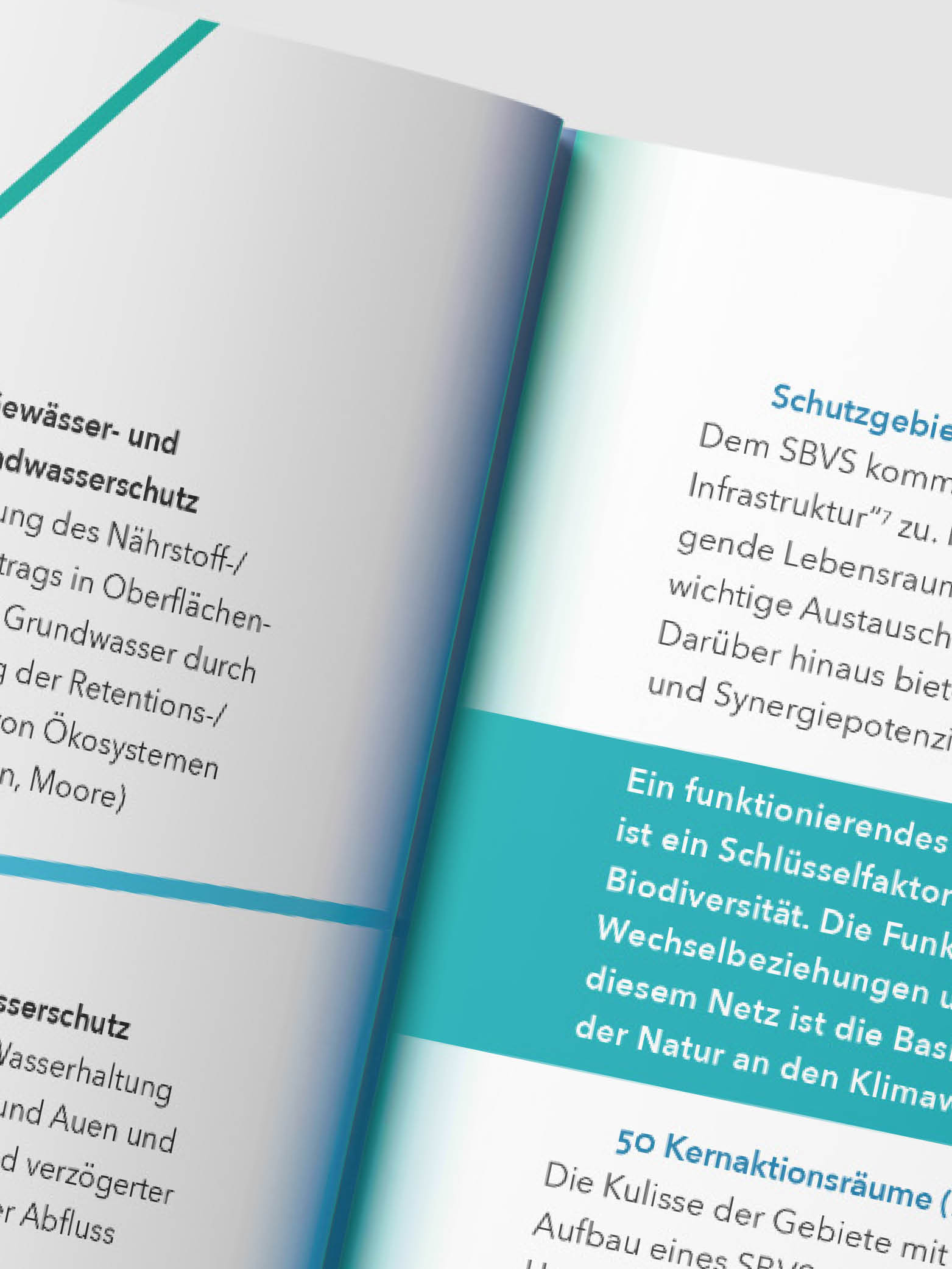 Geöffnete Broschüre mit Text über Schutzgebiete und Biodiversität, farblich hervorgehoben in Türkis.